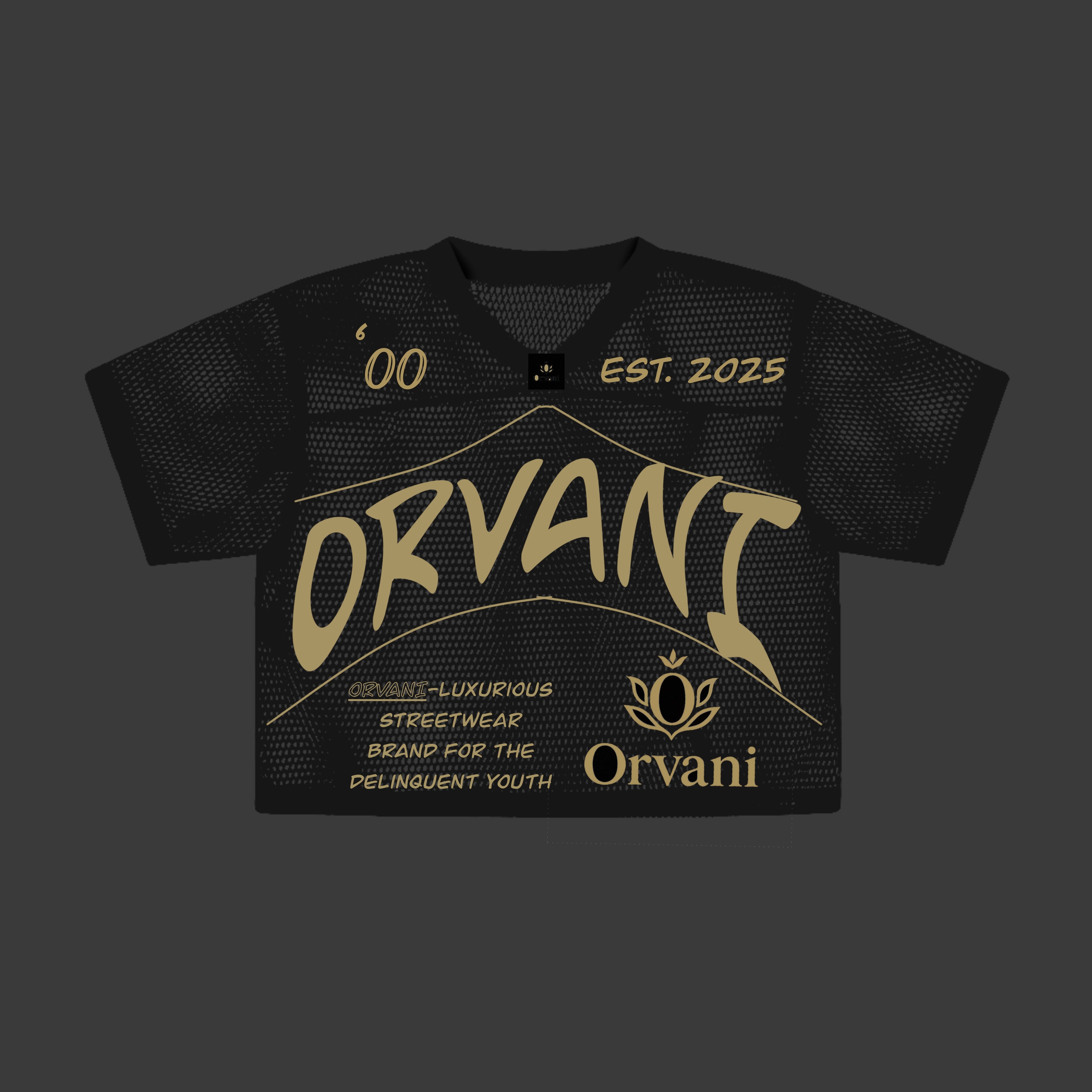ORVANI’S Vintage 2026 Jersey Top’s